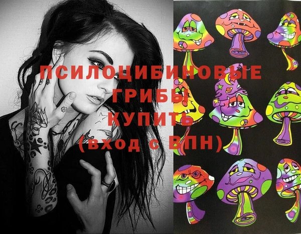 ПСИЛОЦИБИНОВЫЕ ГРИБЫ Абаза