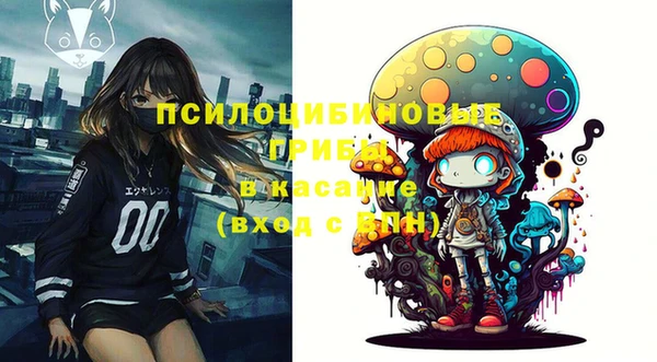 шишки Абинск