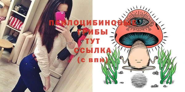 шишки Абинск