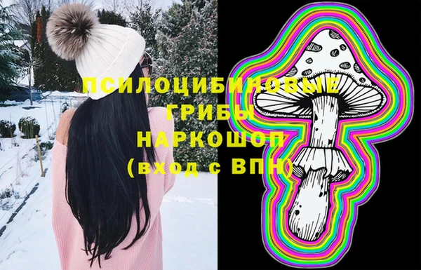 ПСИЛОЦИБИНОВЫЕ ГРИБЫ Абаза