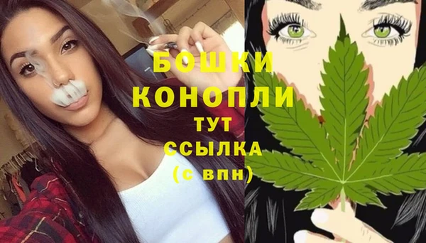 твердый Надым