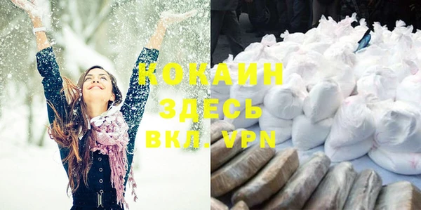 шишки Абинск