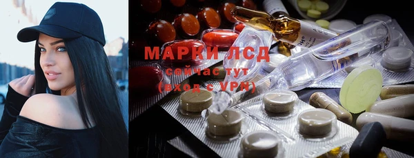 шишки Абинск