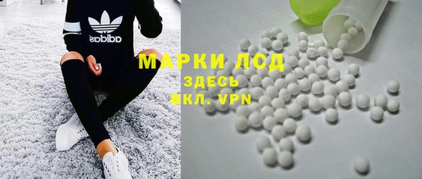 ПСИЛОЦИБИНОВЫЕ ГРИБЫ Абаза