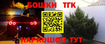стаф Волгодонск
