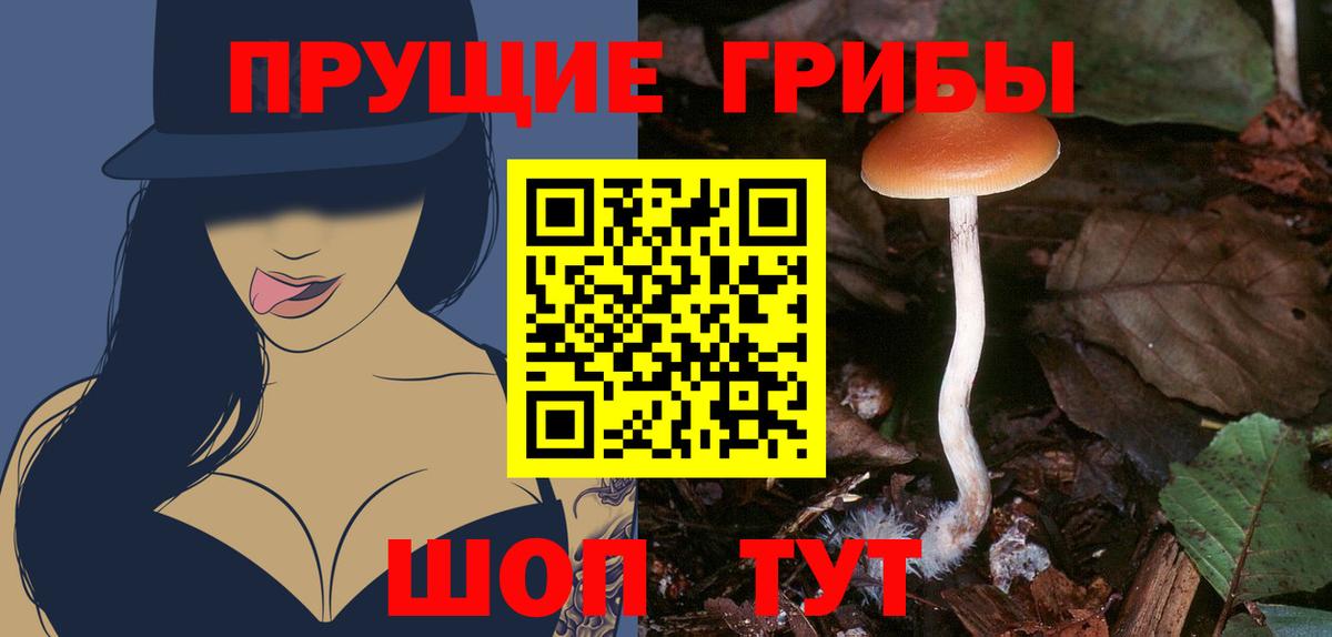 Екатеринбург  Галлюциногенные грибы Cubensis  Вход с VPN  Псилоцибиновые грибы Psilocybe 